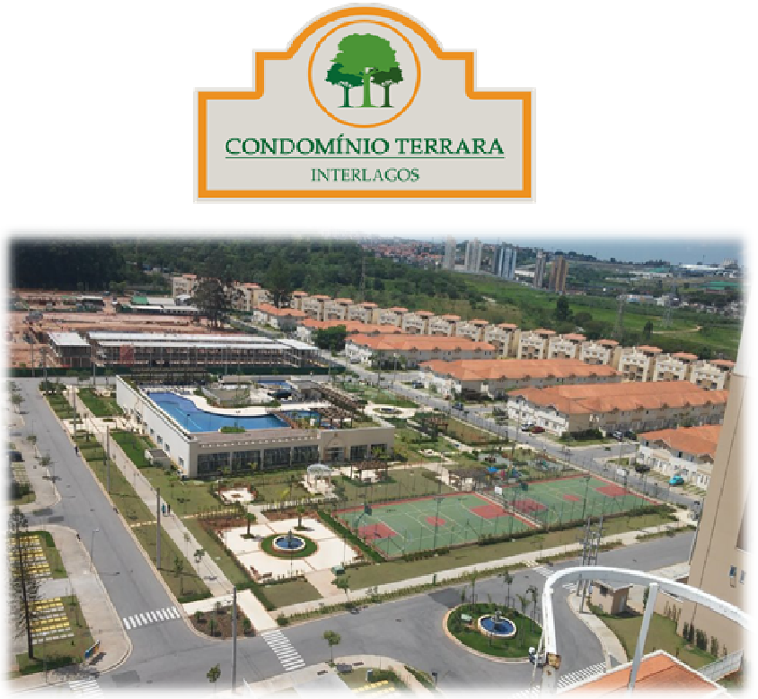 Syntesis pinheiros.png