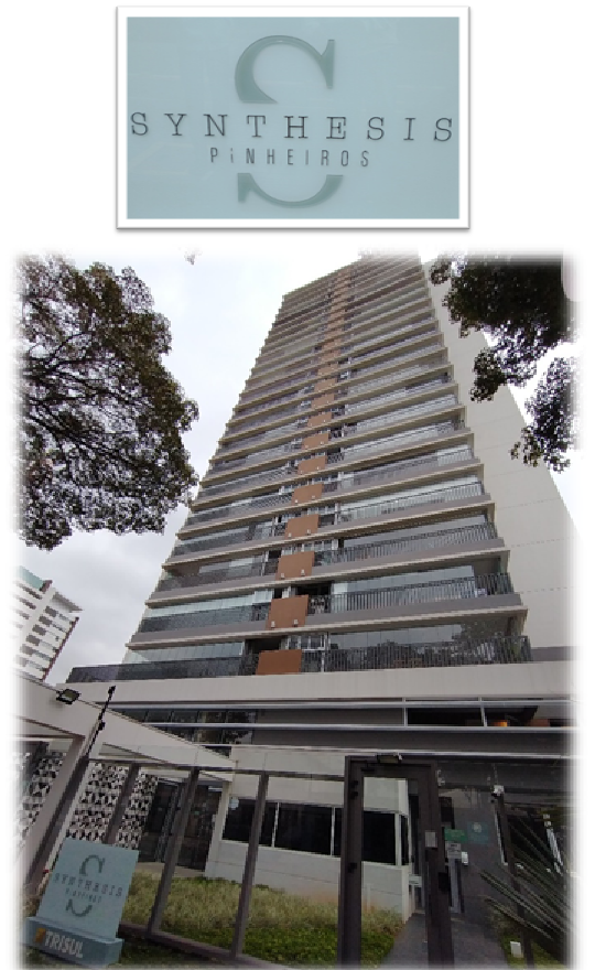 Syntesis pinheiros.png